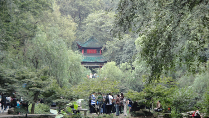 Pavillon in Wald