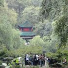 Pavillon in Wald