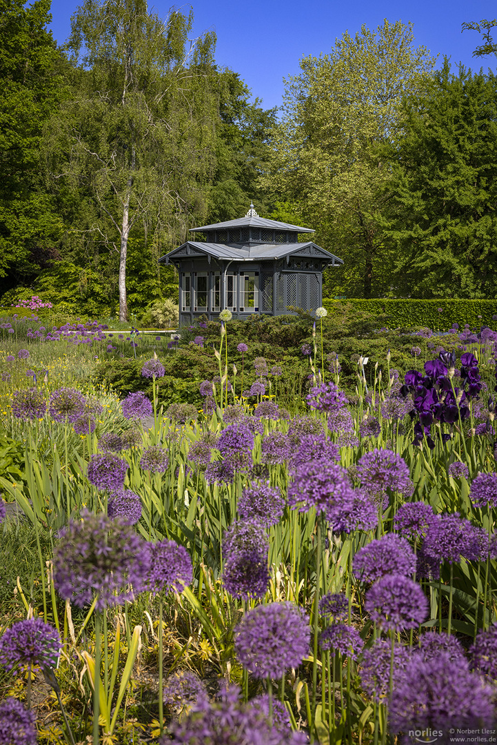 Pavillon mit Zierlauch