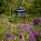 Pavillon mit Zierlauch