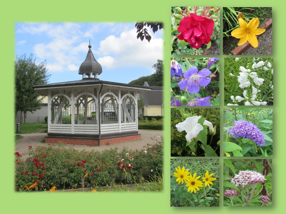 Pavillon und Blühendes im "Park der Sinne" in Binz (Insel Rügen)