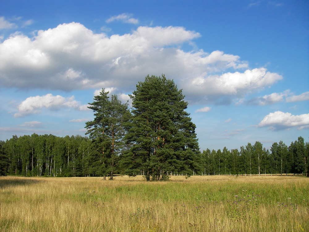 Pavlovsky Park