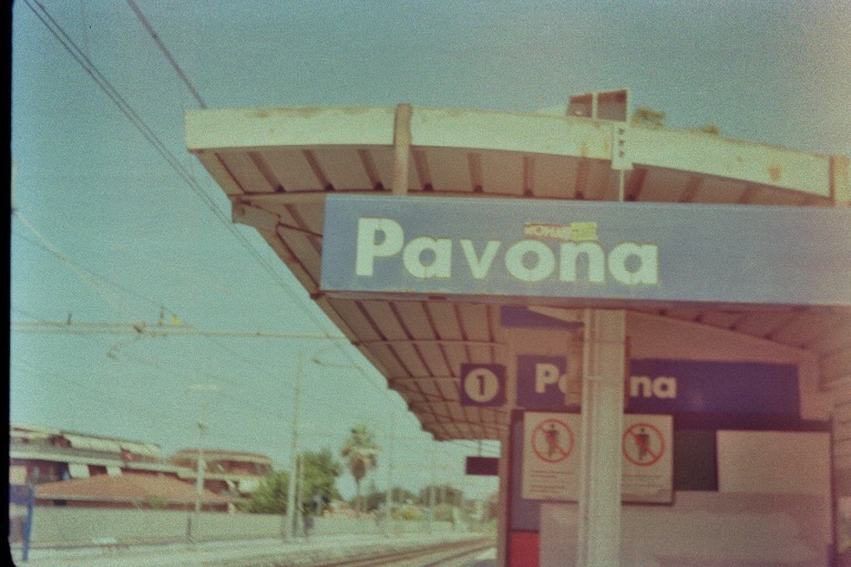 Pavona 