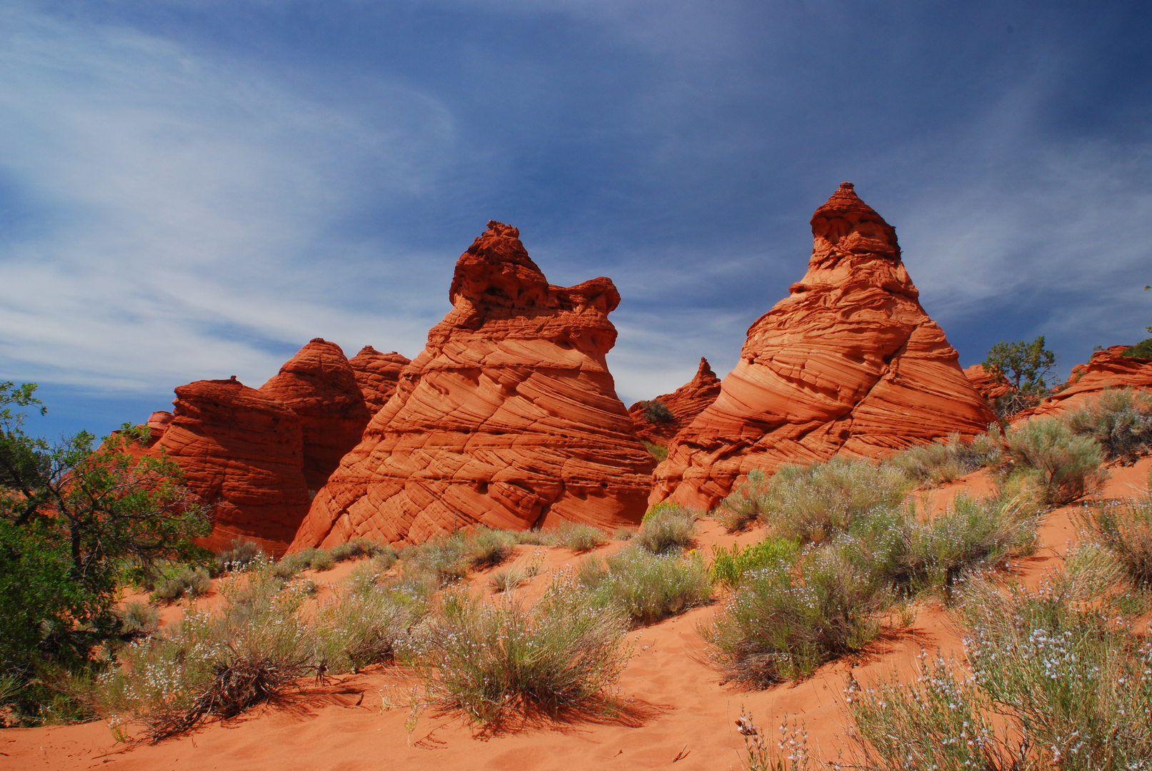 Paw Holes, Coyote Buttes South 2
