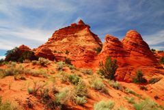 Paw Holes, Coyote Buttes South