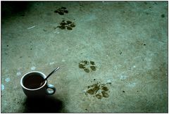 Paws and Coffee