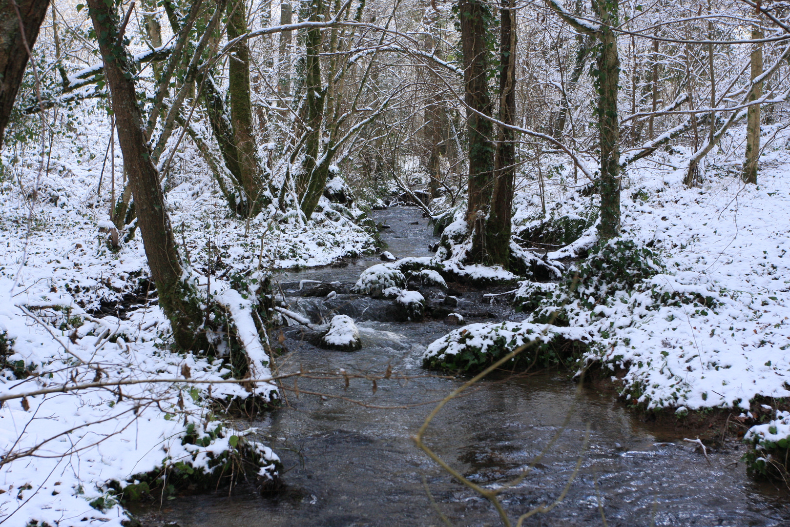 Payasge sous la neige