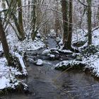 Payasge sous la neige