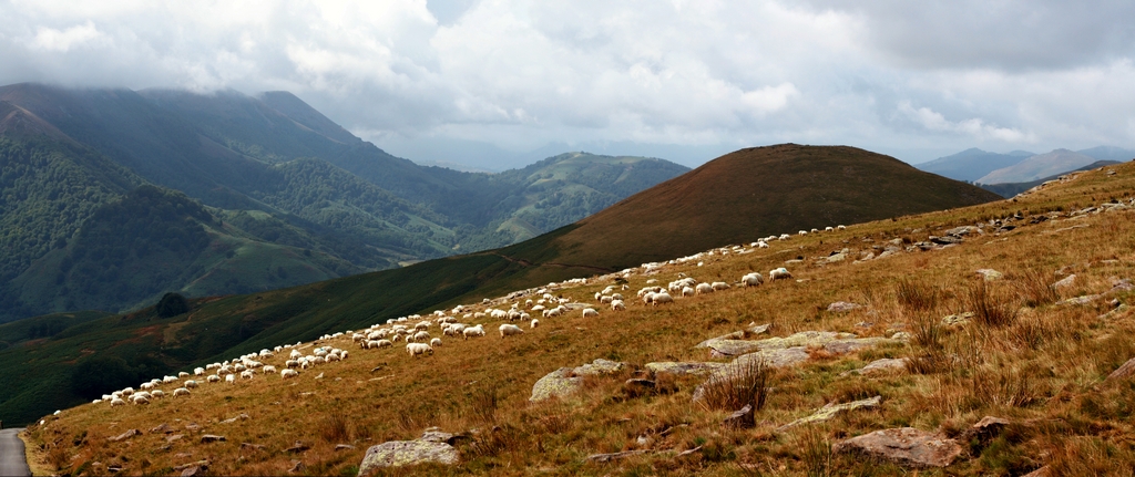 pays basque