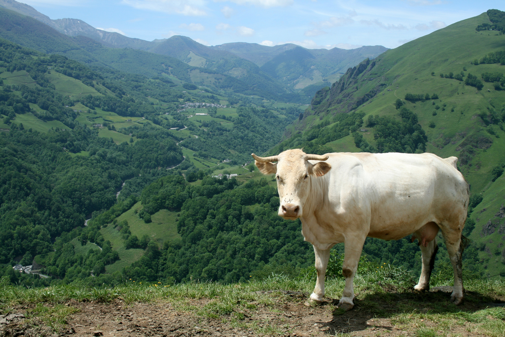 Pays Basque ( Vue sur la Vallée de la Soule)