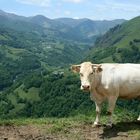 Pays Basque ( Vue sur la Vallée de la Soule)