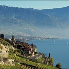 Pays de Lavaux ( patrimoine mondial de l'U.N.E.S.C.O. )