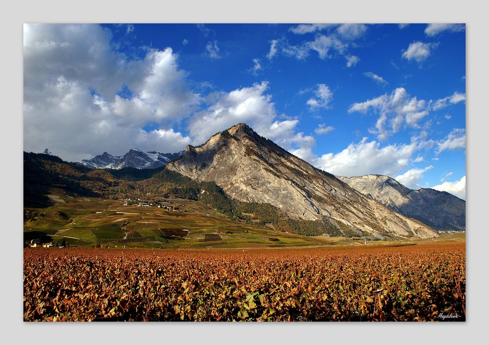 Pays du vin et de la montagne