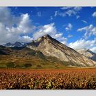 Pays du vin et de la montagne