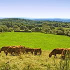 Pays vert et bleu