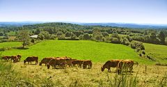 Pays vert et bleu