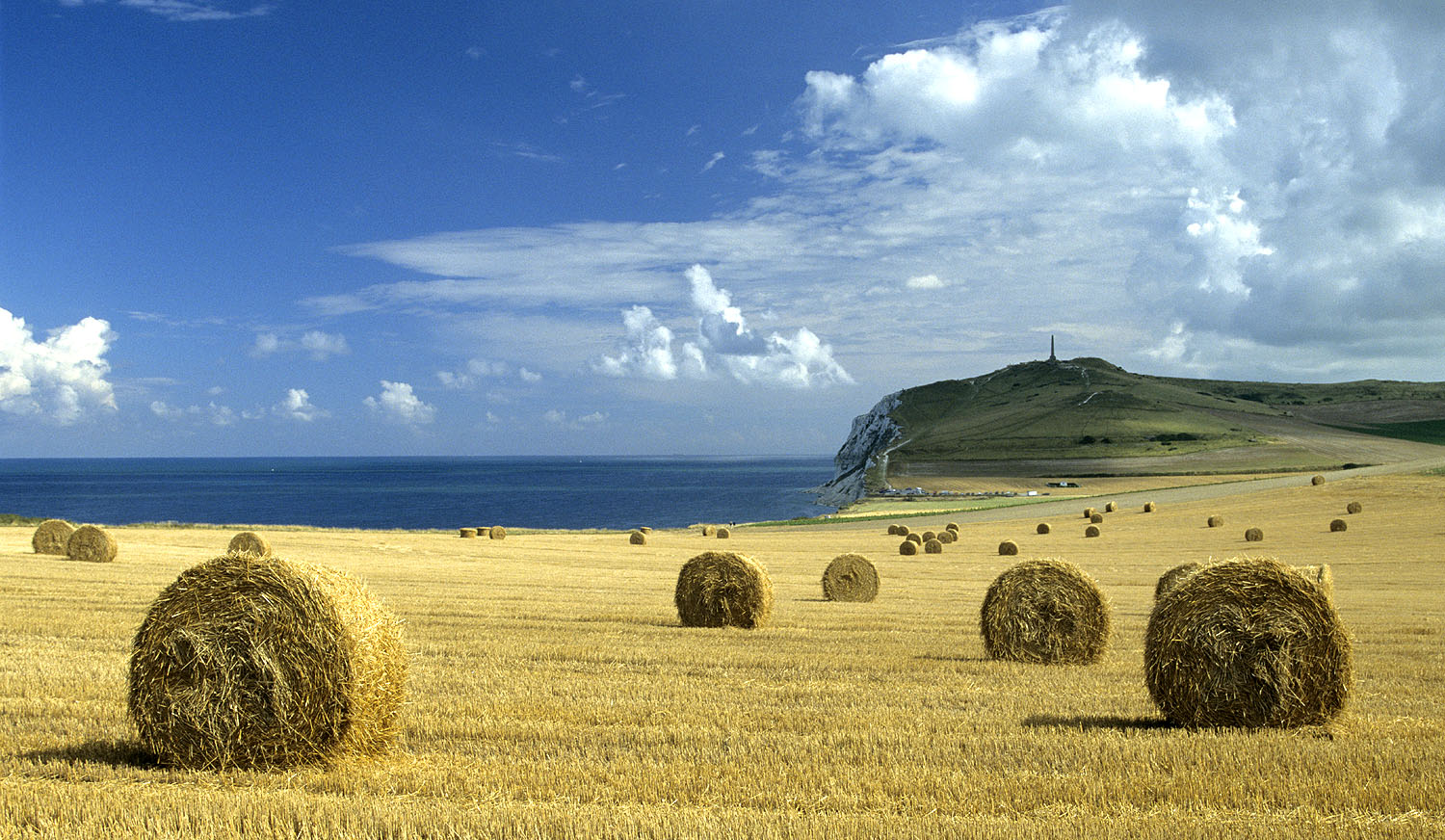 Paysage agricole au cap Blanc-Nez