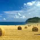 Paysage agricole au cap Blanc-Nez