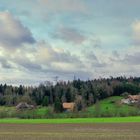 Paysage agricole et espace rural - Seeland, décembre 2019