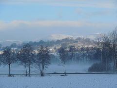 paysage alsacien sous la neige et la brume