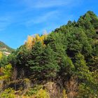 Paysage andorran à l’automne