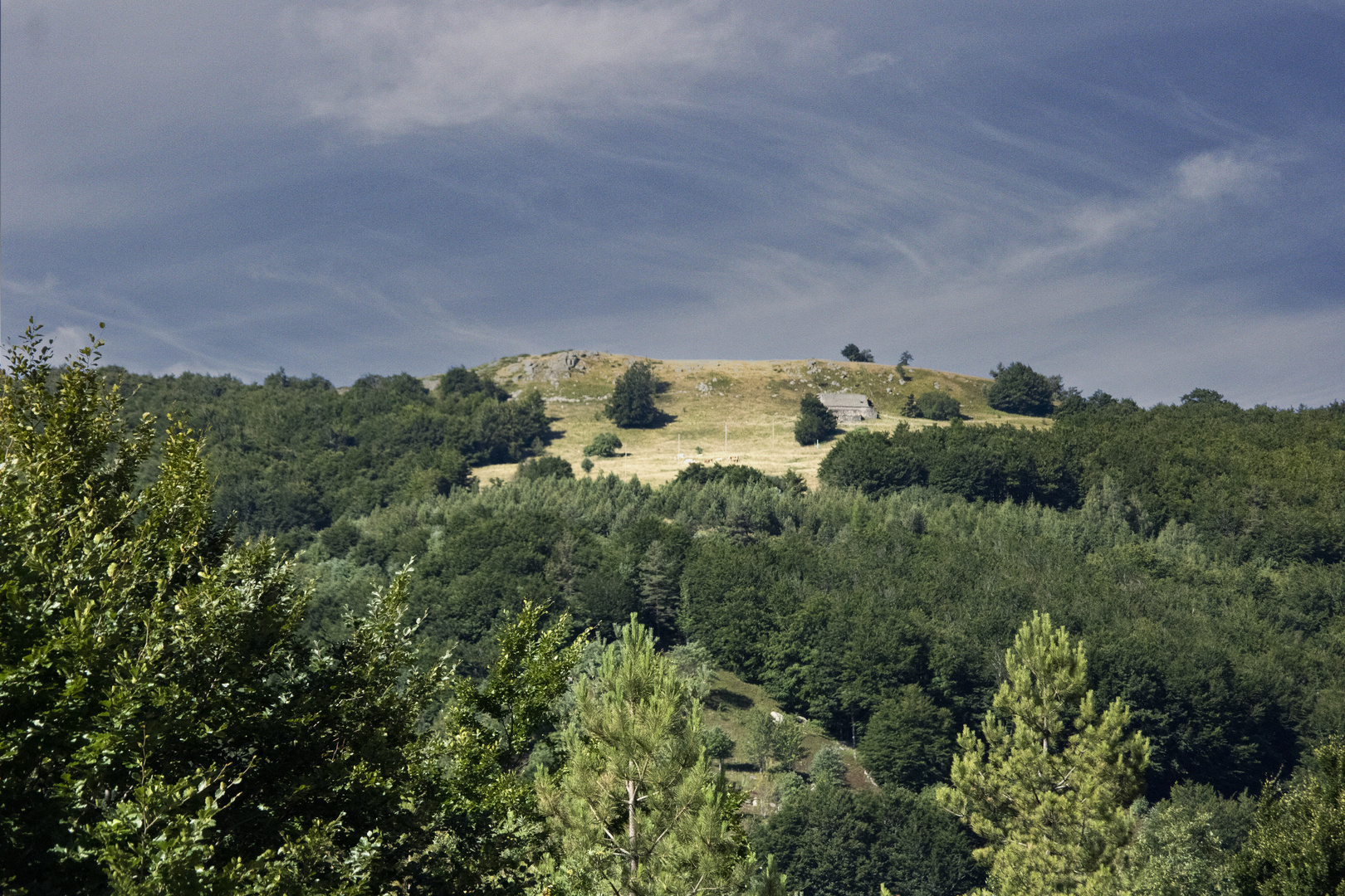 Paysage ardéchois  8 Jeudi vert 