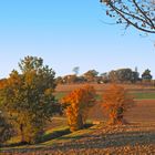 Paysage automnal en fin d’après-midi