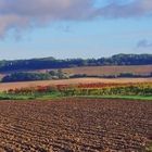 Paysage automnal près de Saint-Puy - Gers