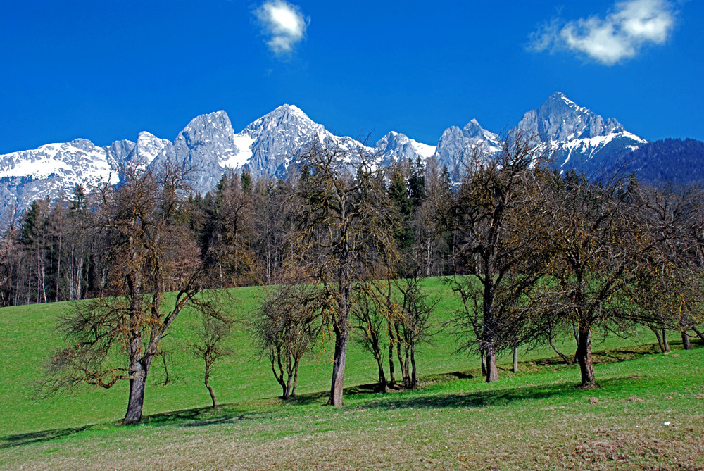 Paysage Autrichien