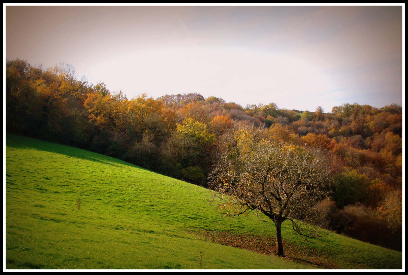 Paysage aveyronnais