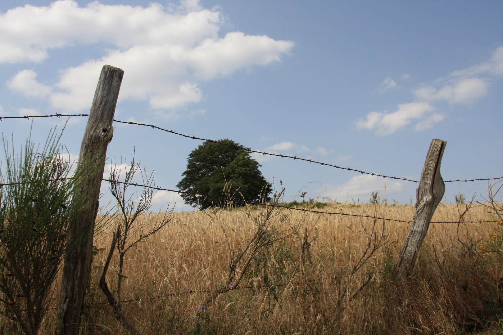 Paysage Aveyronnais