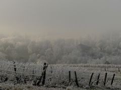 PAYSAGE BLANC