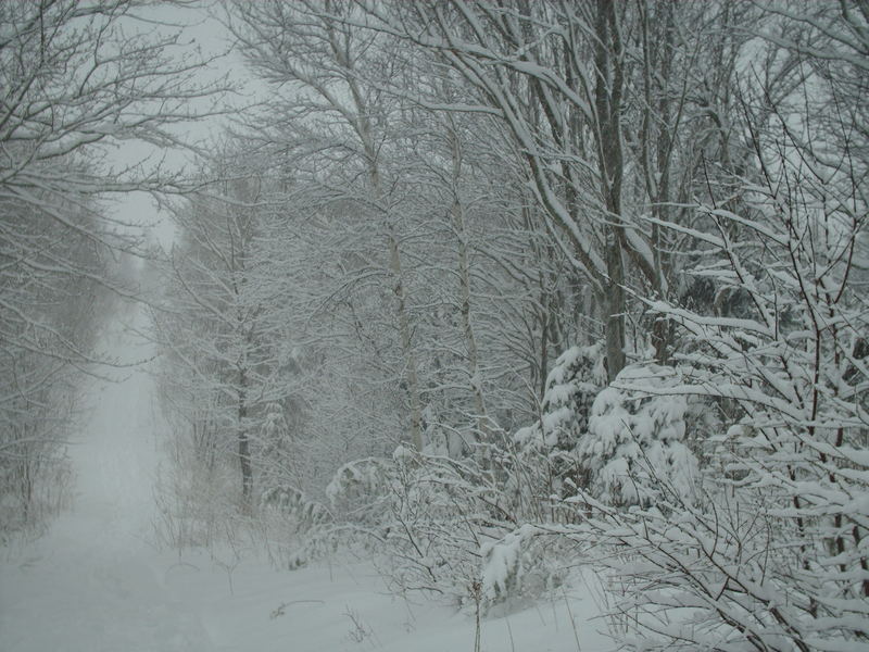 Paysage Blanc