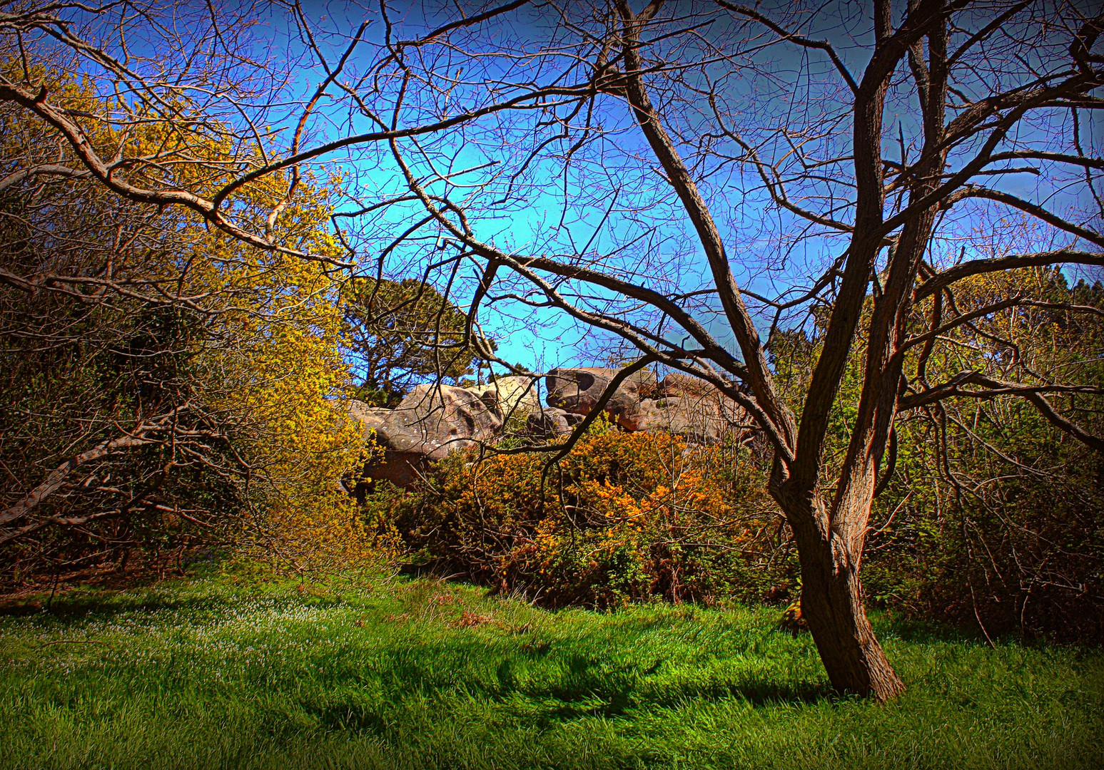 Paysage breton