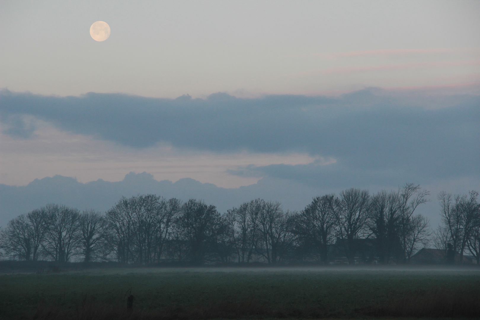 Paysage brumeux