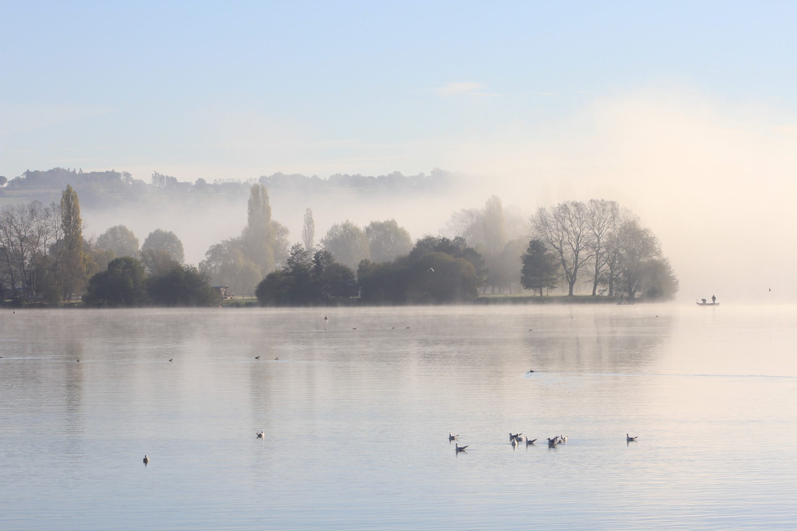 Paysage brumeux