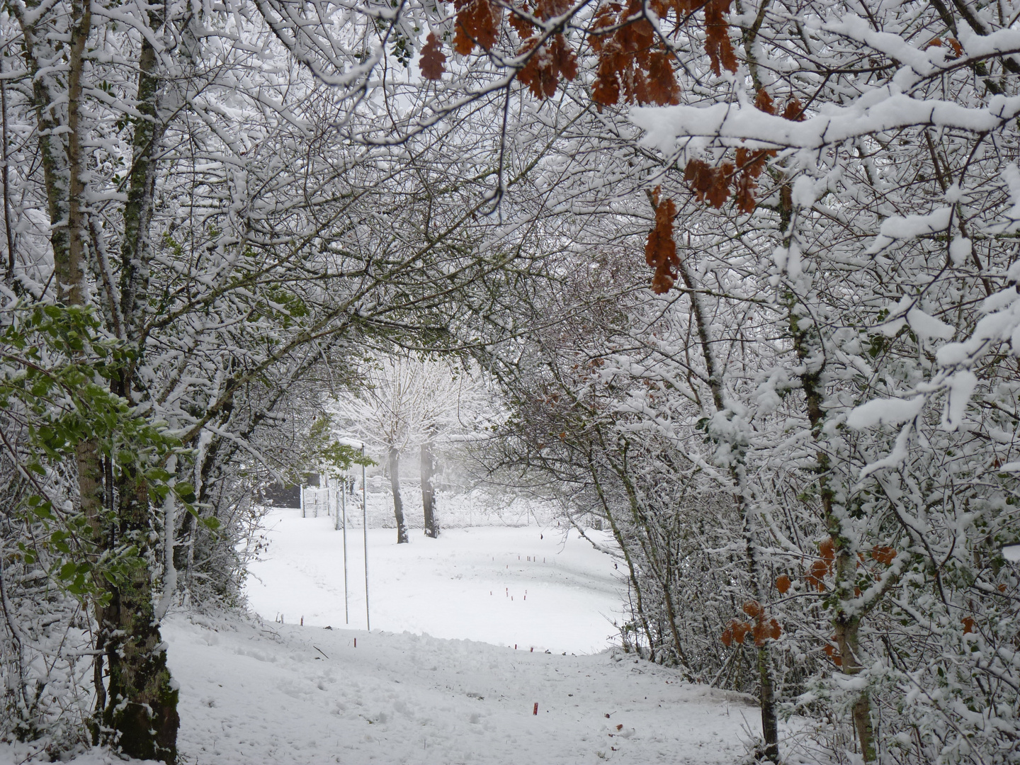 Paysage bruniquelais