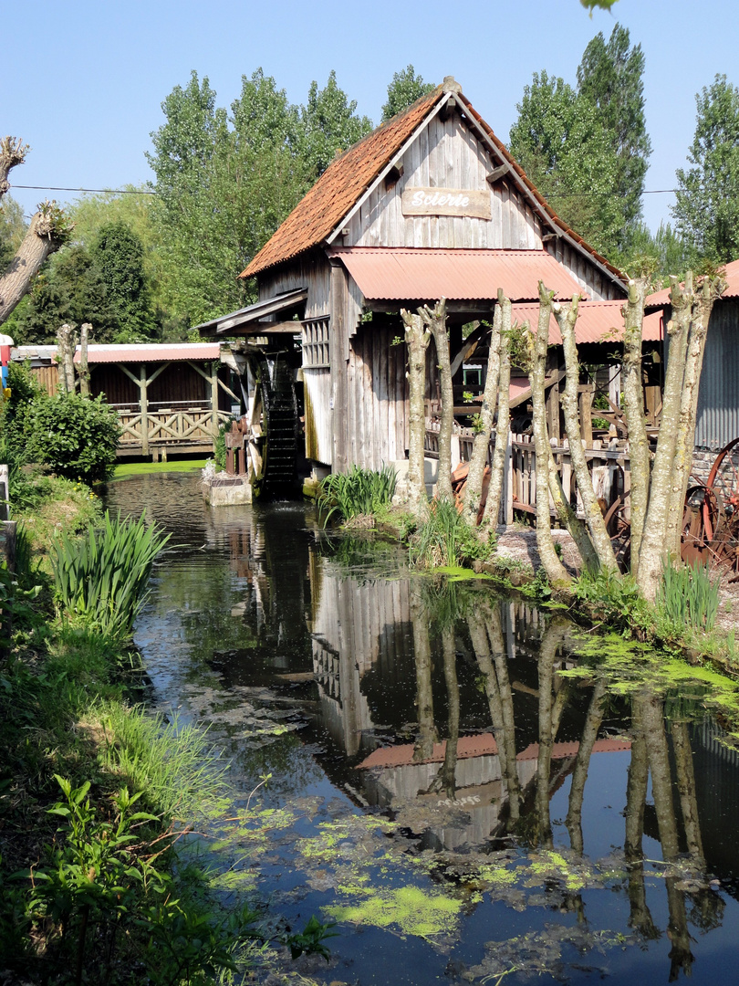 paysage bucolique