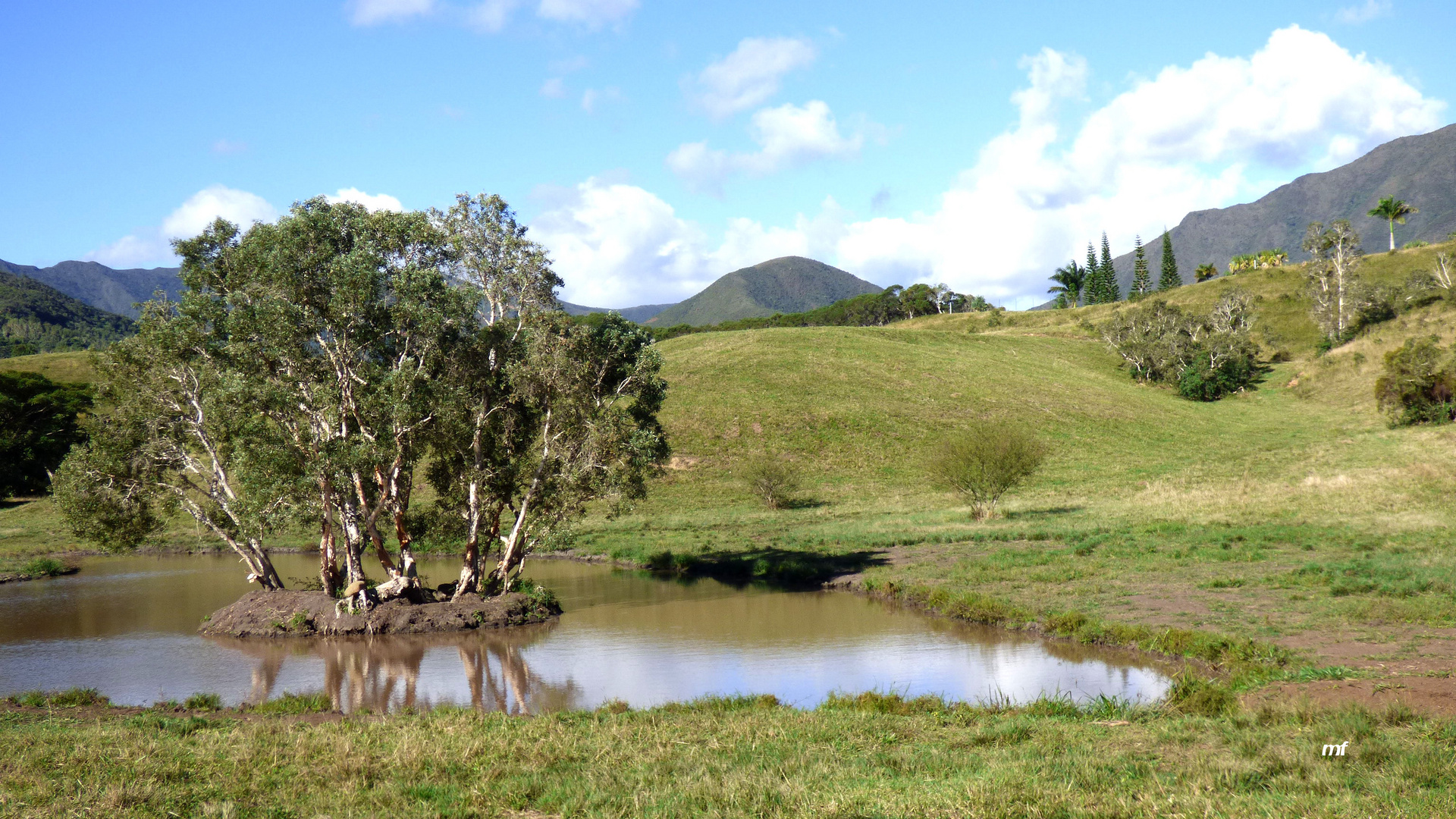 Paysage calédonien