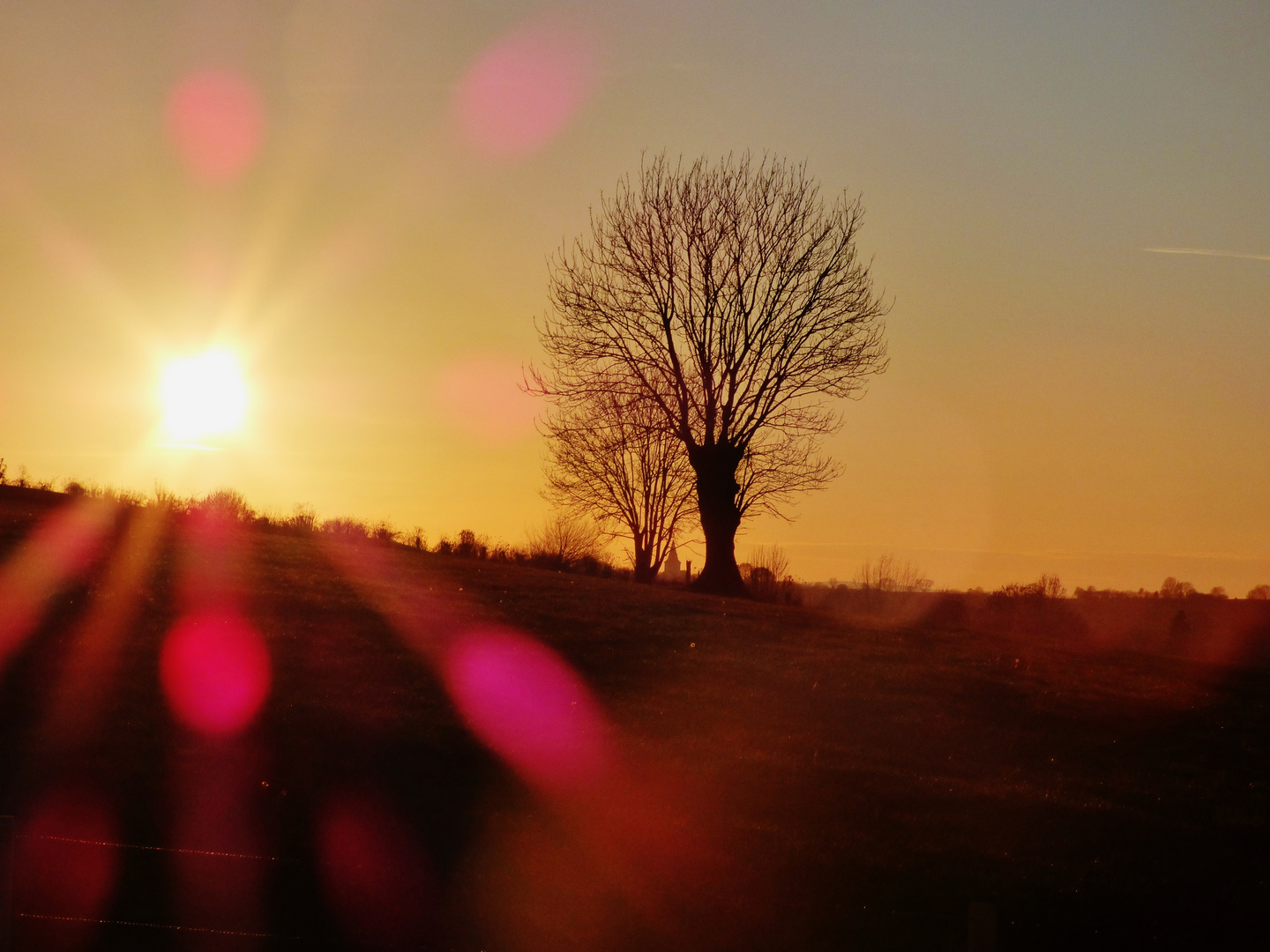 Paysage campagnard de Belgique