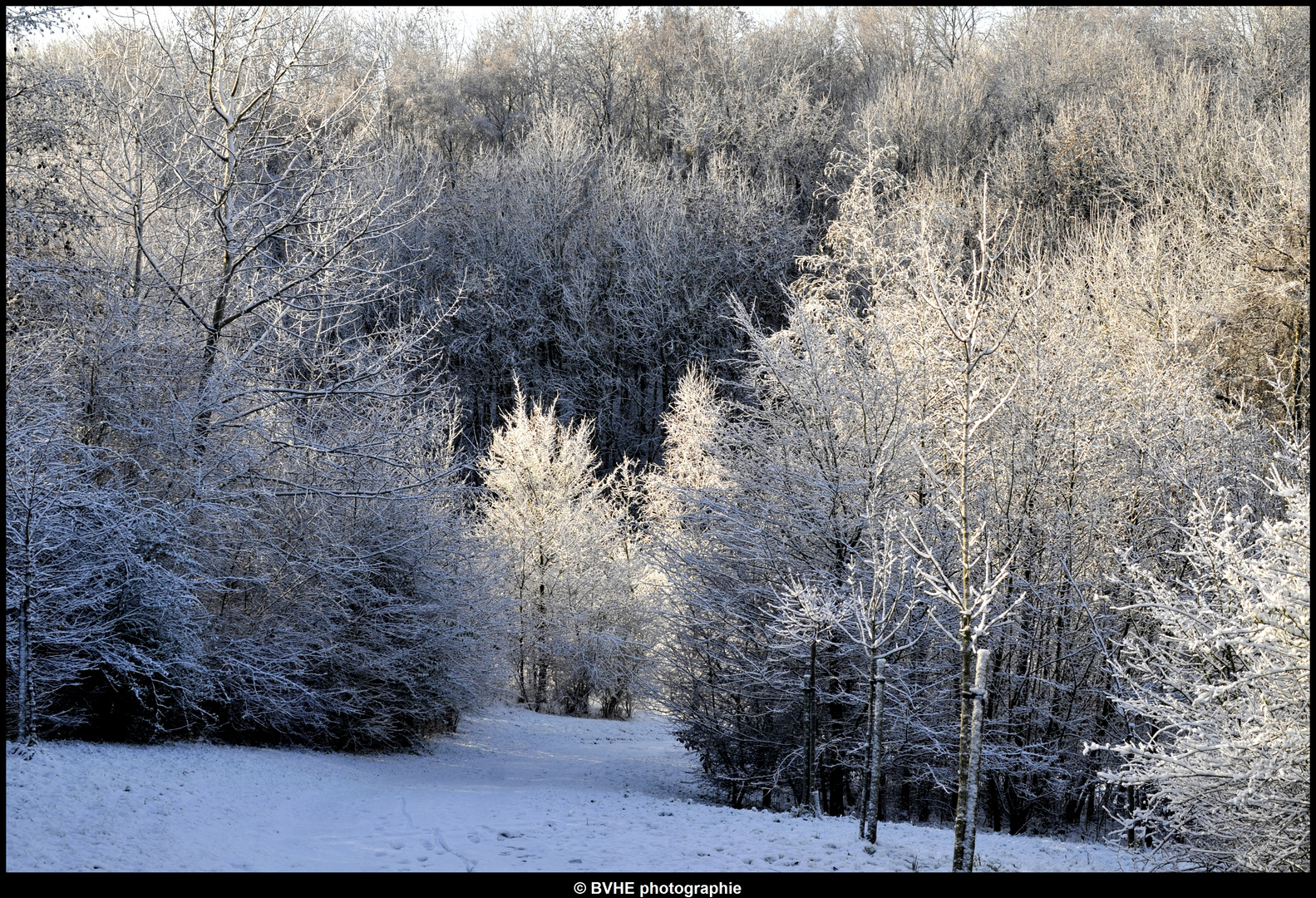 Paysage carte postal