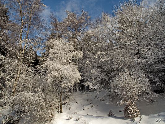 Paysage carte postale .