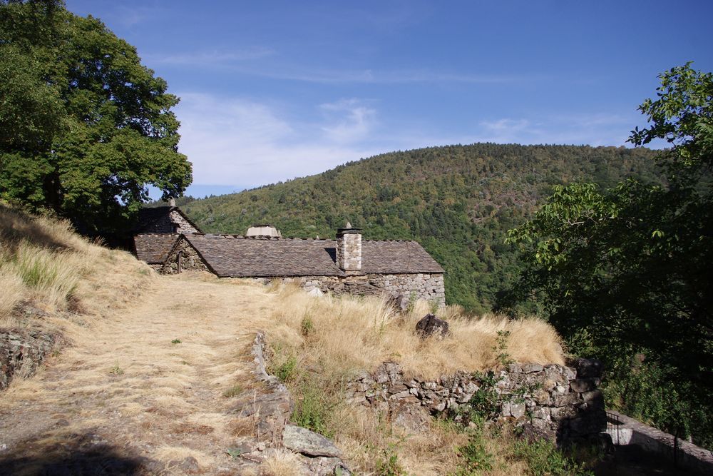 Paysage cévenol ....