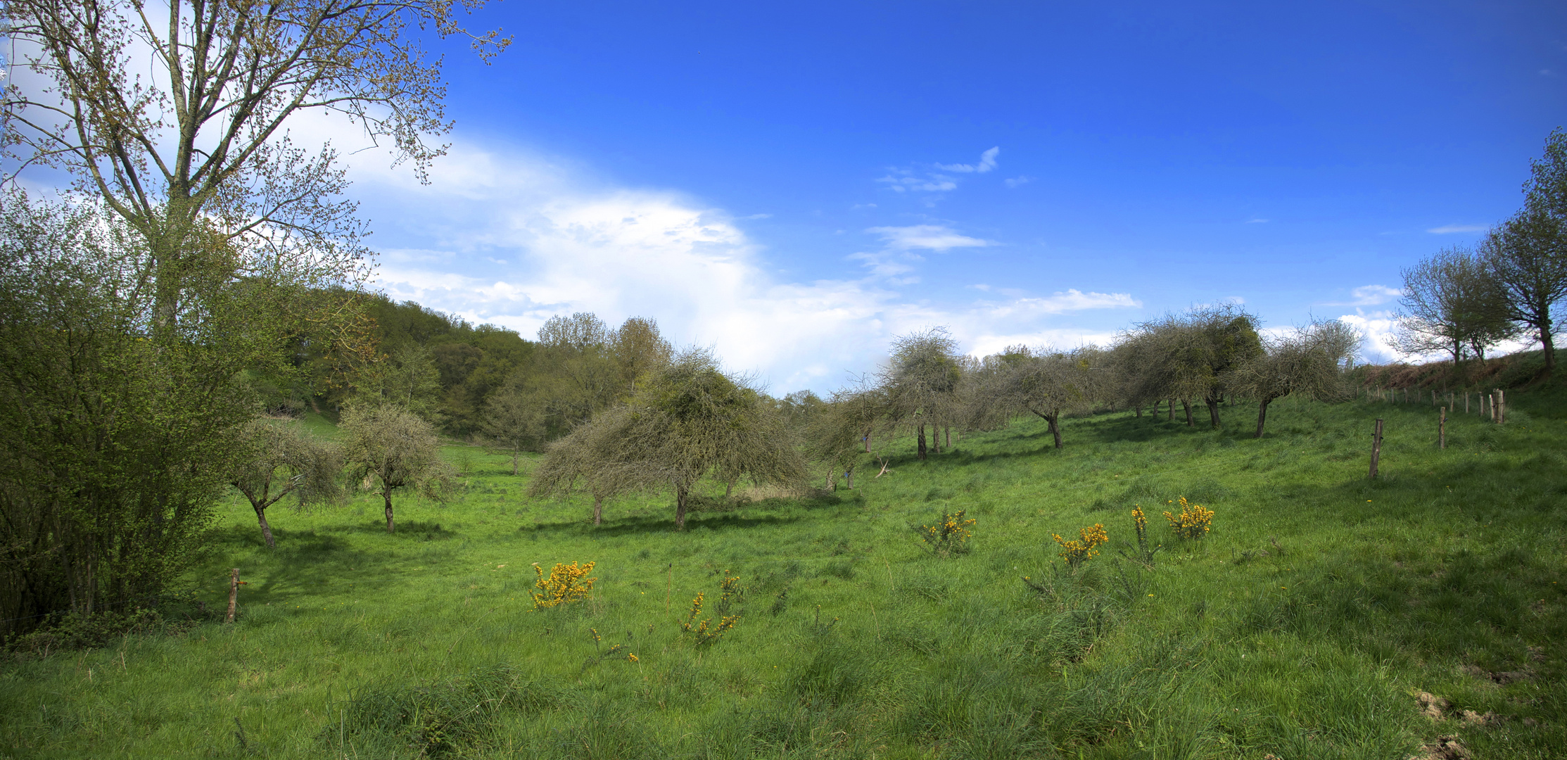 PAYSAGE CHAMPÊTRE