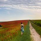 Paysage champêtre 