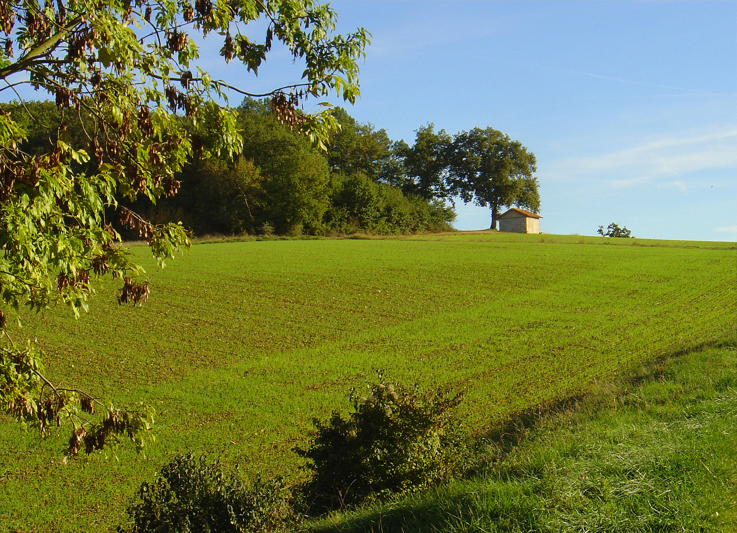 Paysage champêtre début novembre