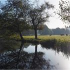 Paysage champêtre en Poitou