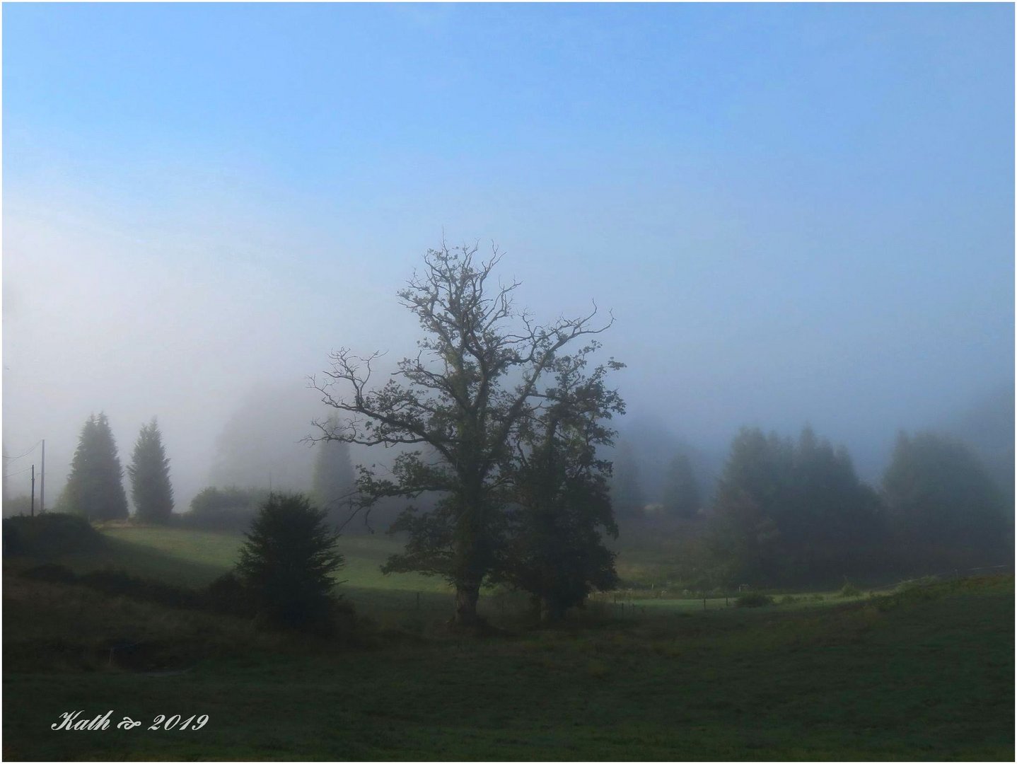 Paysage corrézien sous la brume