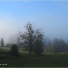 Paysage corrézien sous la brume