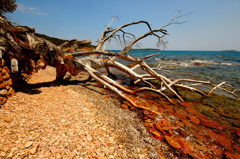 Paysage Corse.